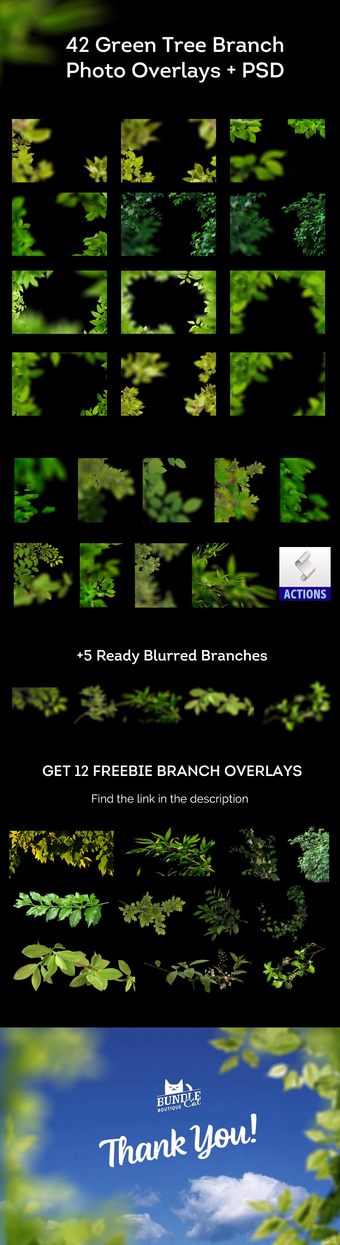 green branchall pro 799