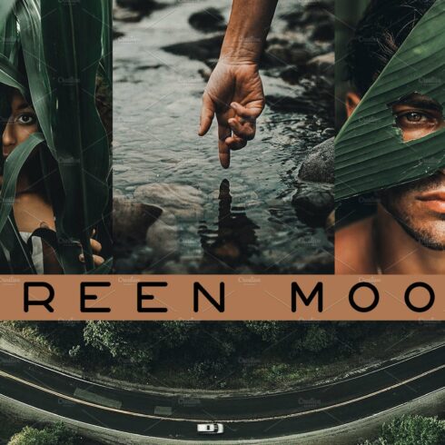 Green Mood Lightroom Presetscover image.