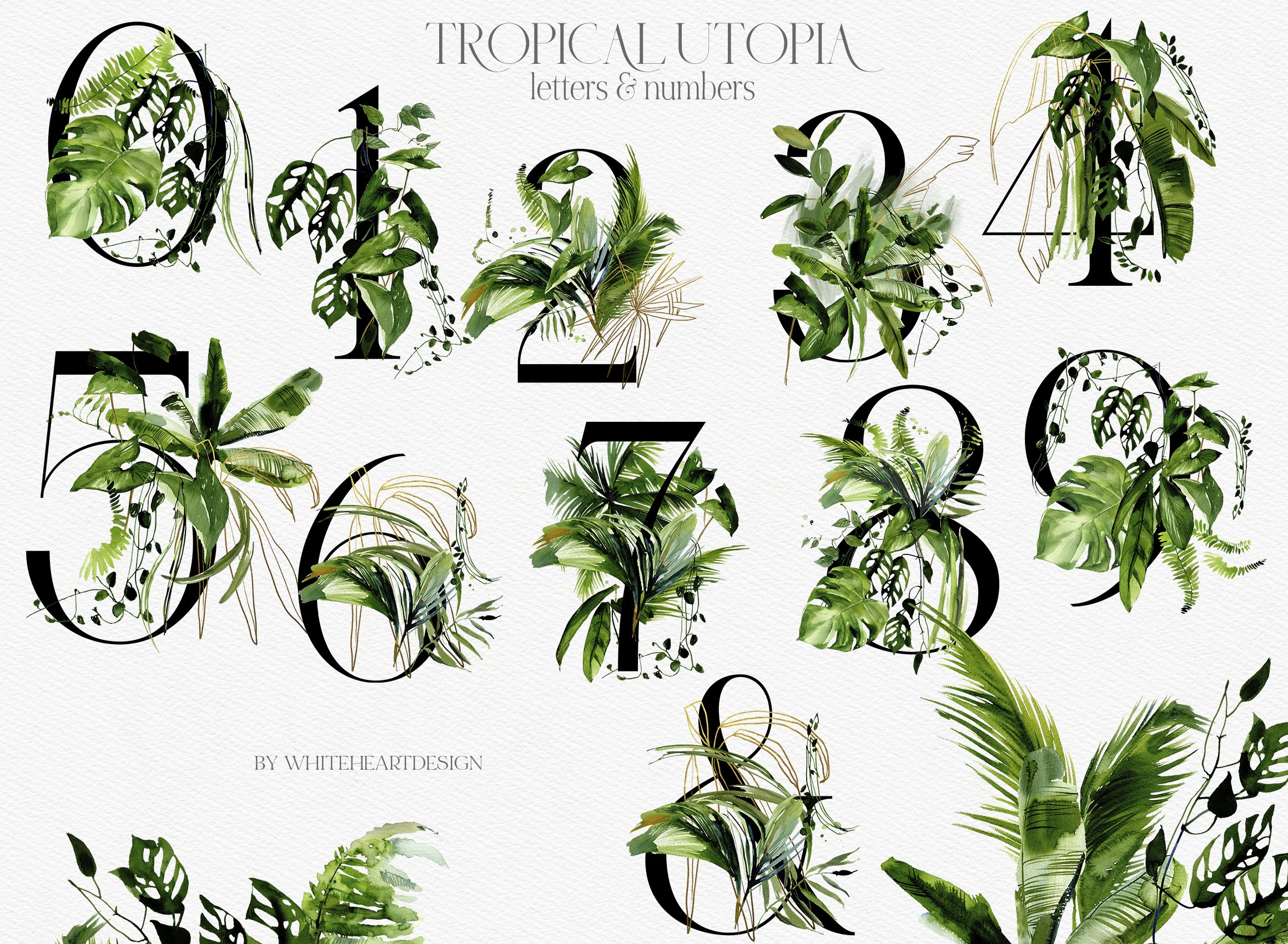 Set of numbers made up of tropical plants.