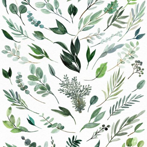 Watercolor Greenery Eucalyptus Olive cover image.