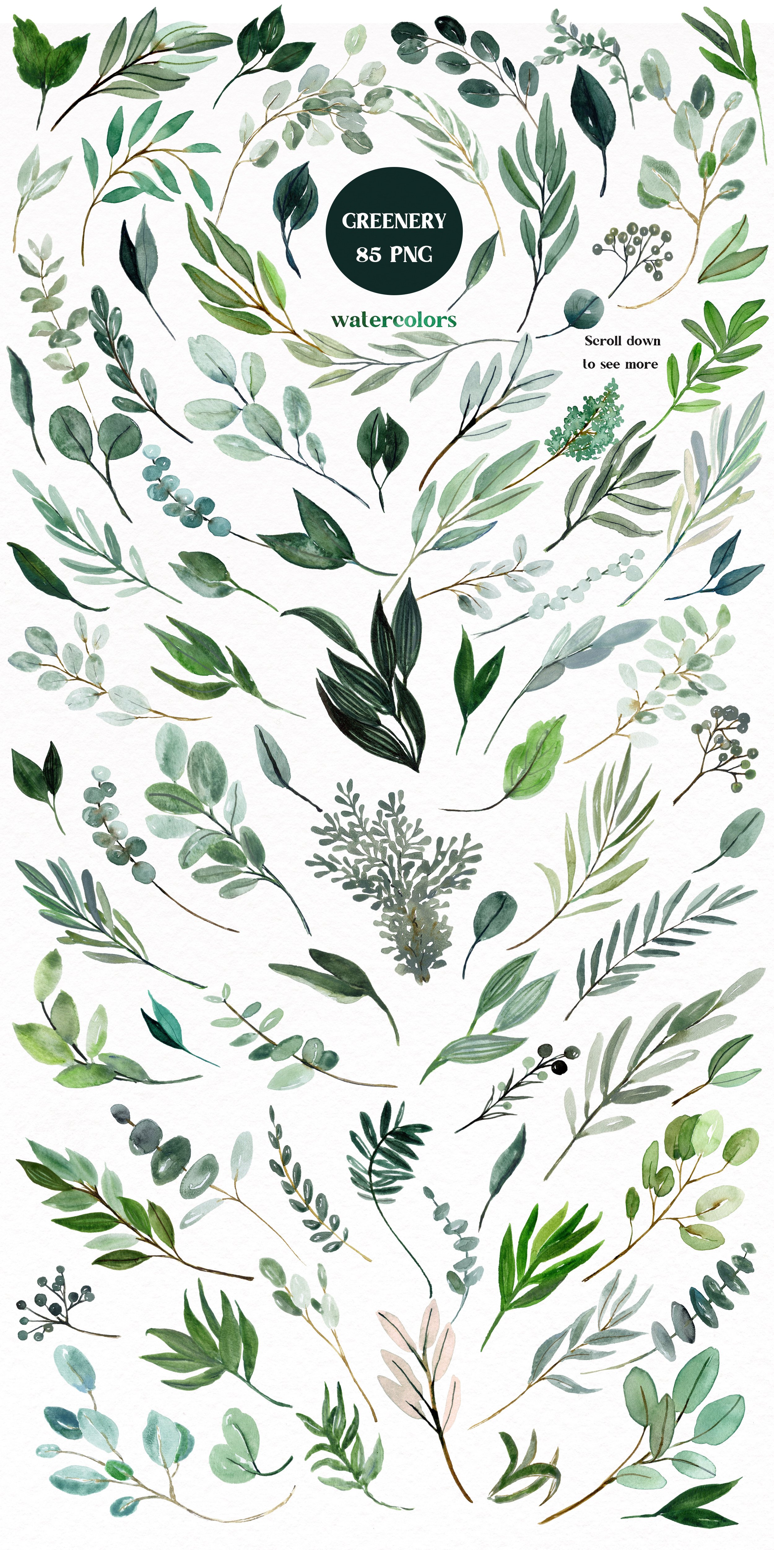 Watercolor Greenery Eucalyptus Olive cover image.