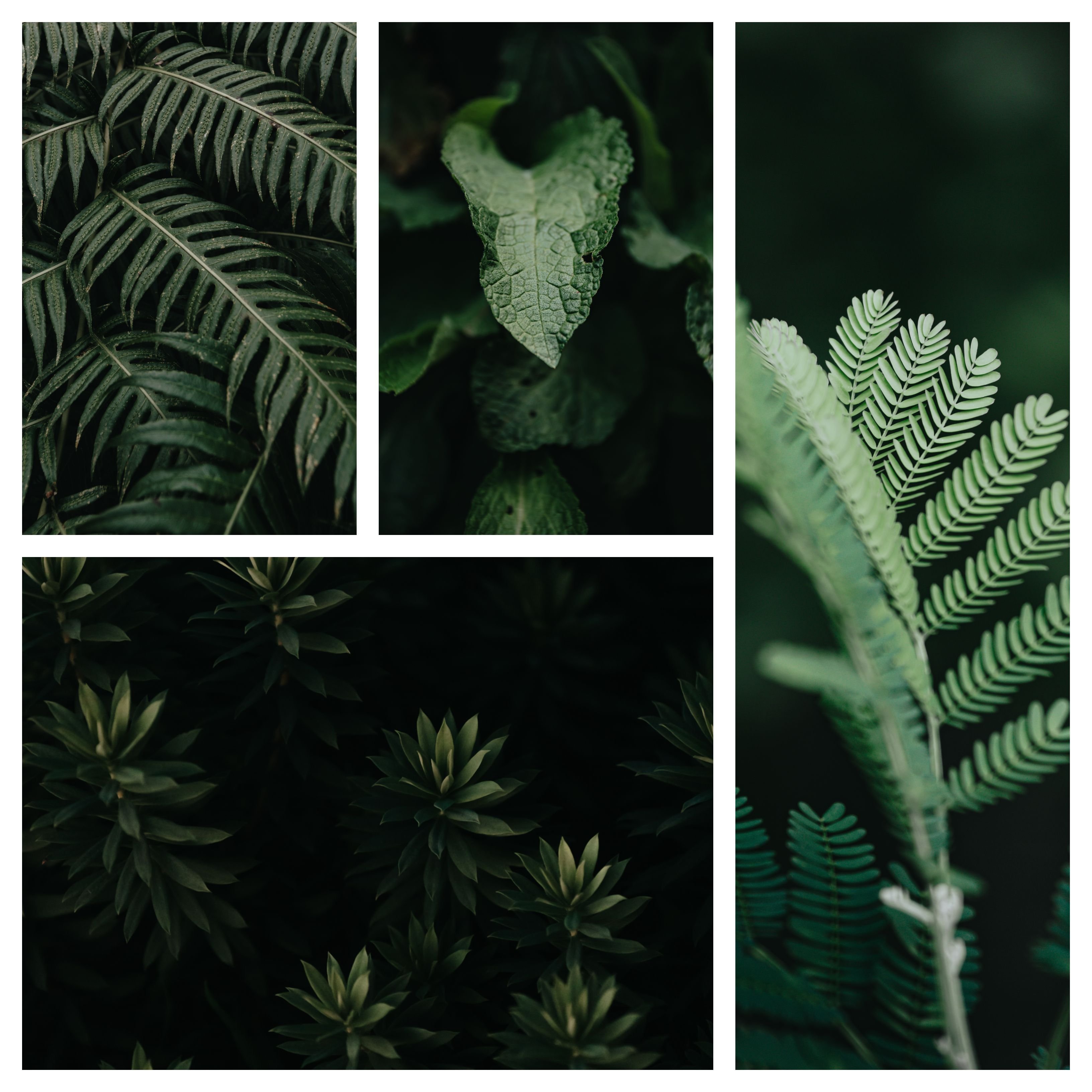 9 Lightroom Presets Pack Moody Greenpreview image.