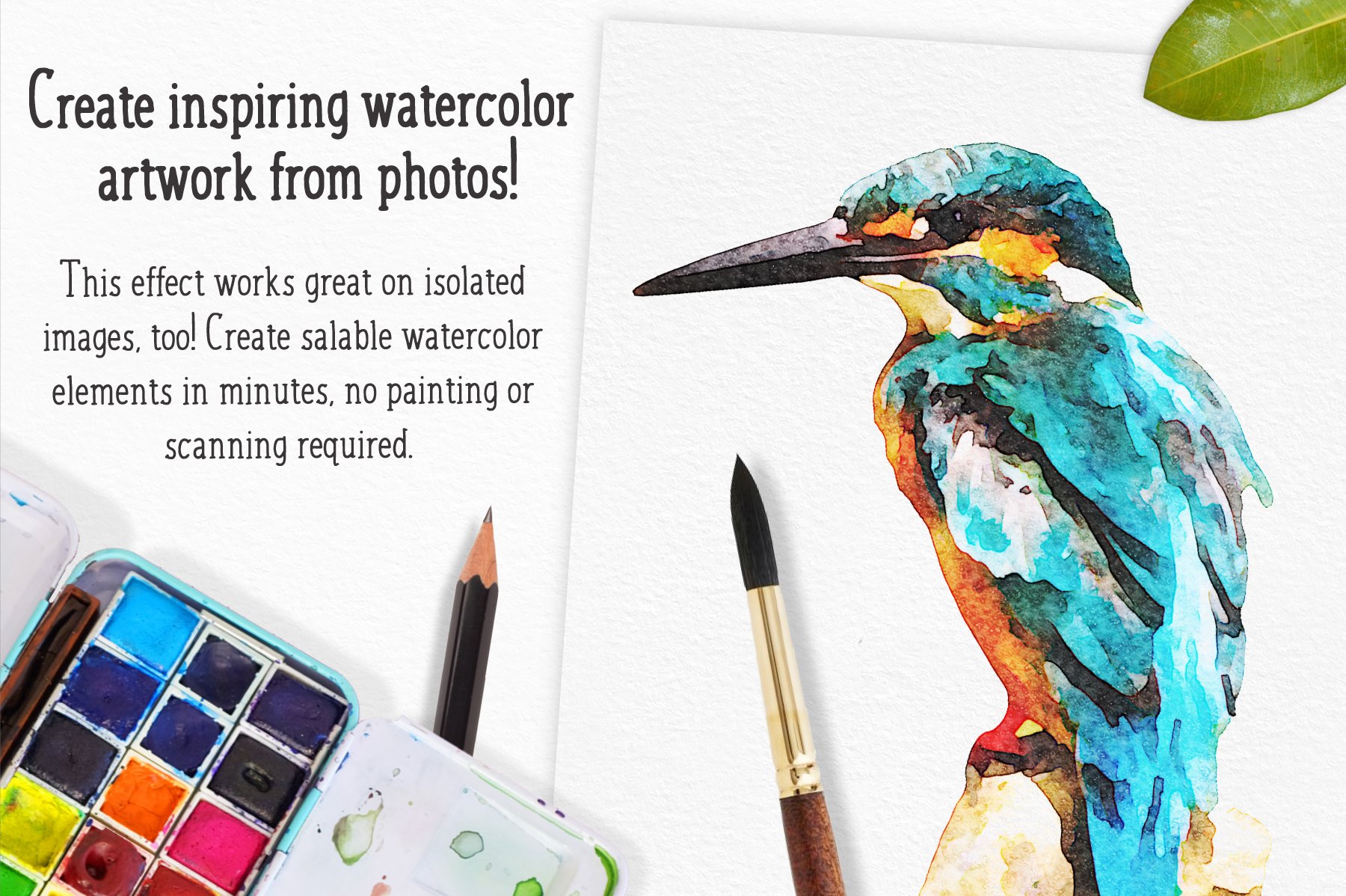 grids for salted watercolor cover bird 881