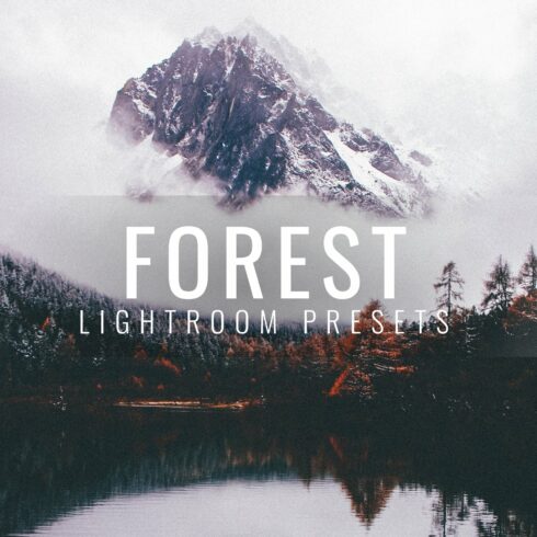 Lightroom Presets Moody Forestcover image.