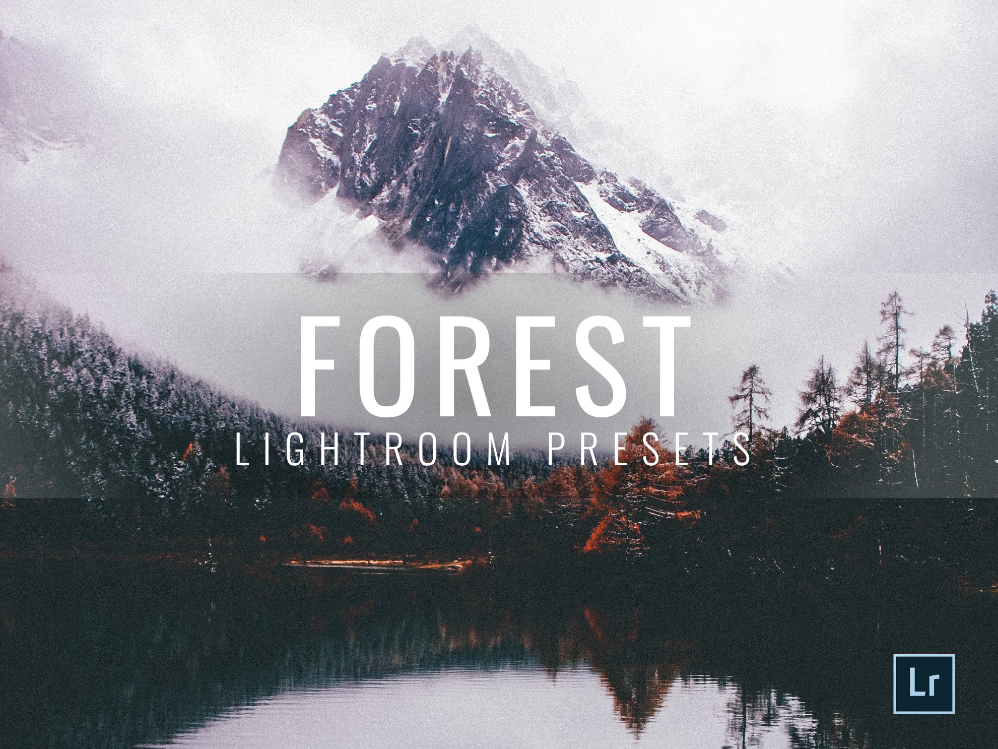 Lightroom Presets Moody Forestcover image.