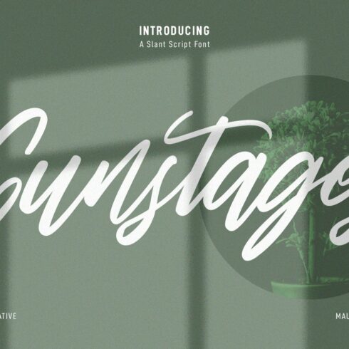 Gunstages Slanted Script Font cover image.