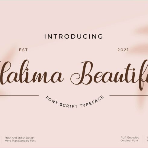 Halima Beautiful Font script cover image.