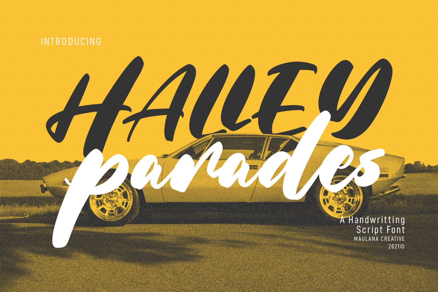 Halley Parades Sans Script Handwritt cover image.