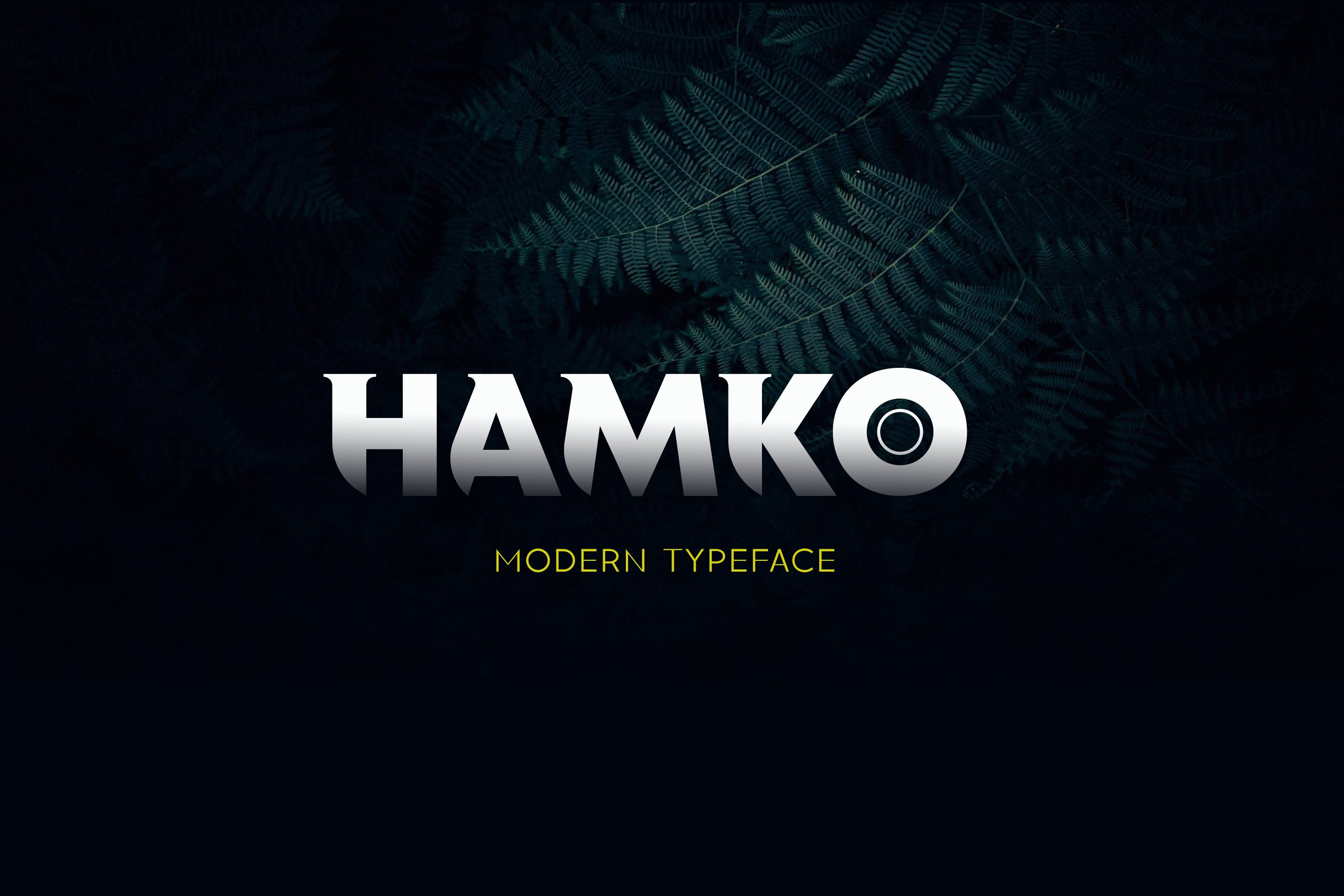 Hamkocover image.