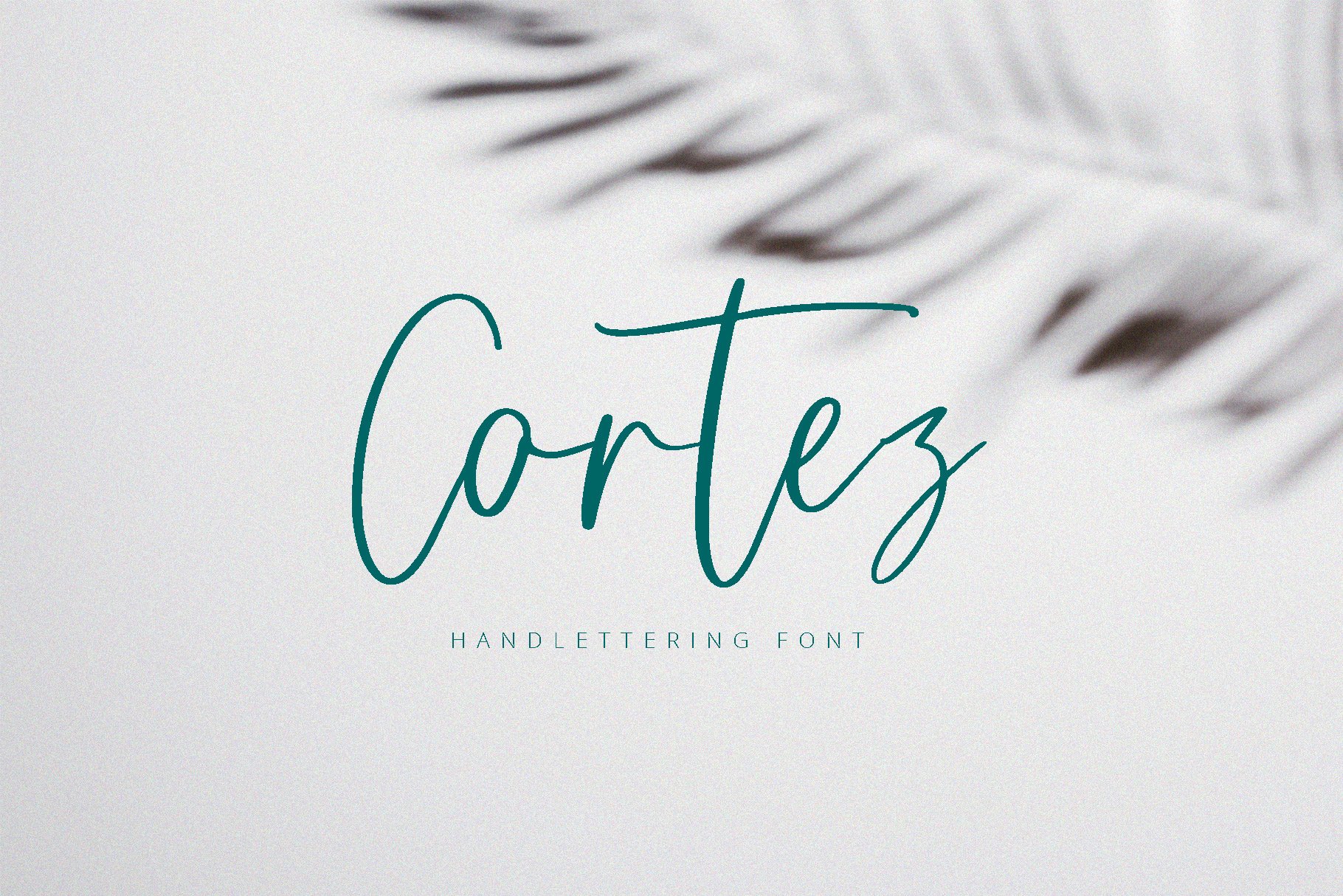 Cortez | Handwritten Font cover image.
