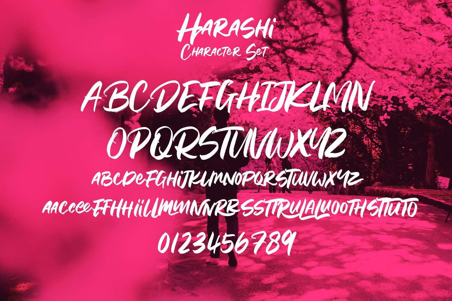 harashi handwritten brush font 9 454