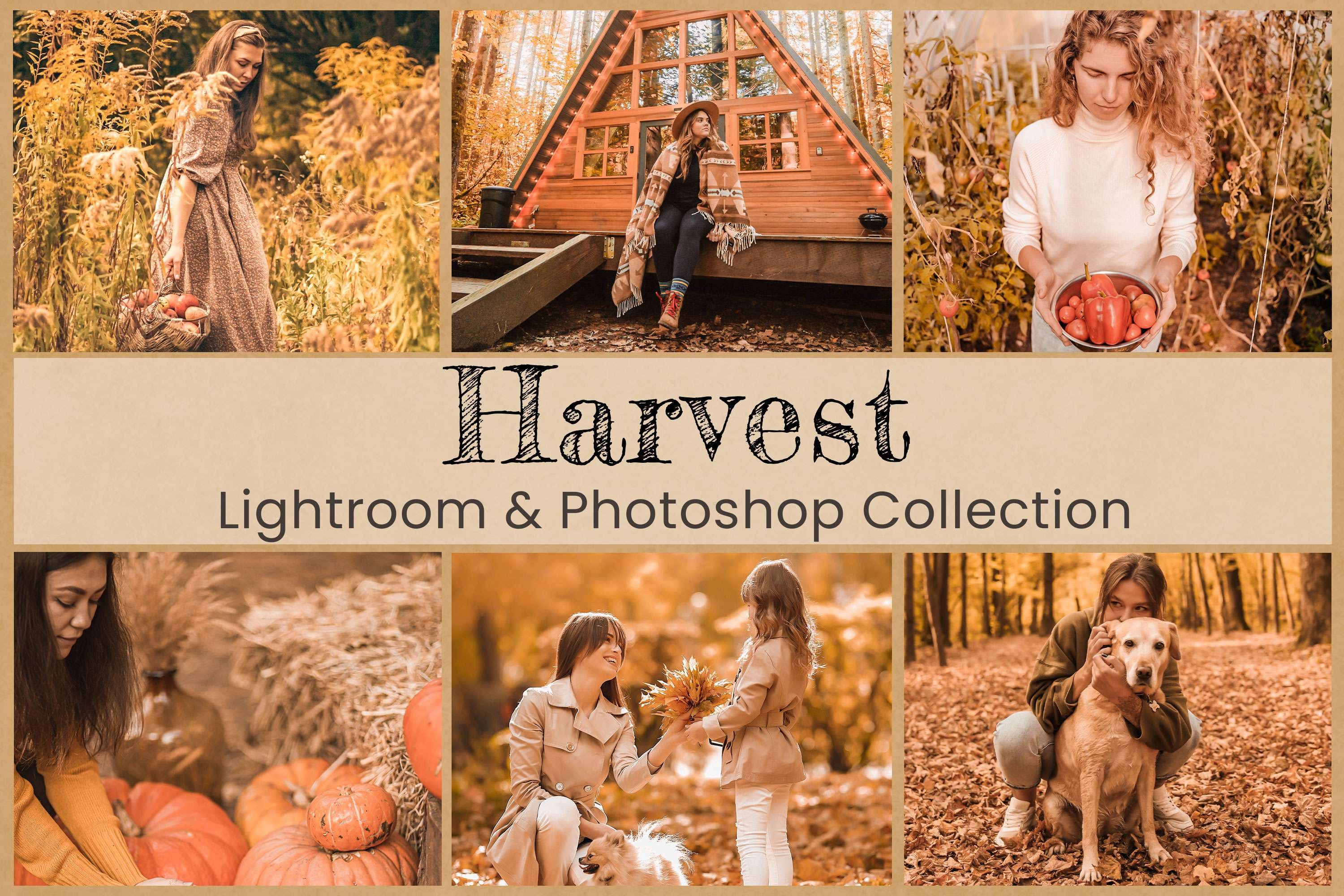 harvest main poster 367