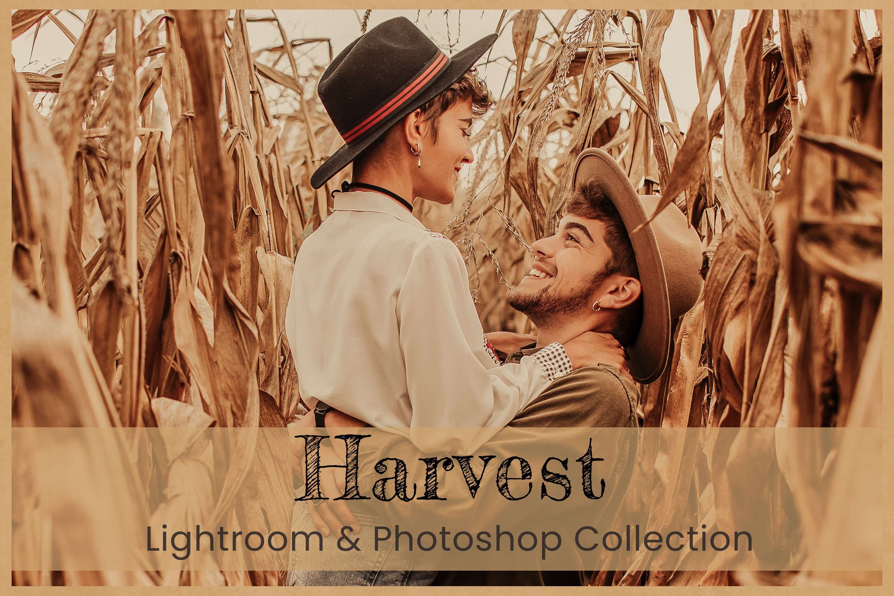 Harvest Photoshop Actions Lightroomcover image.