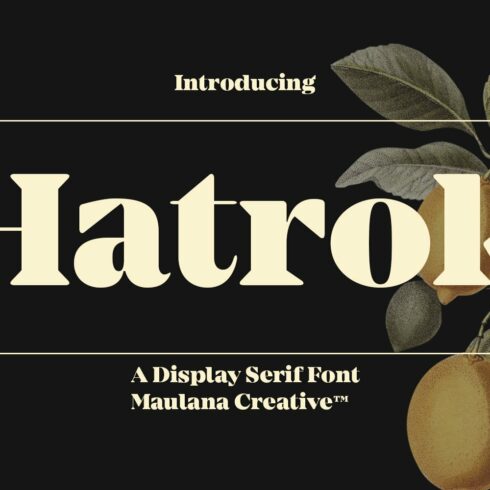 Hatrok Display Luxury Serif Font cover image.