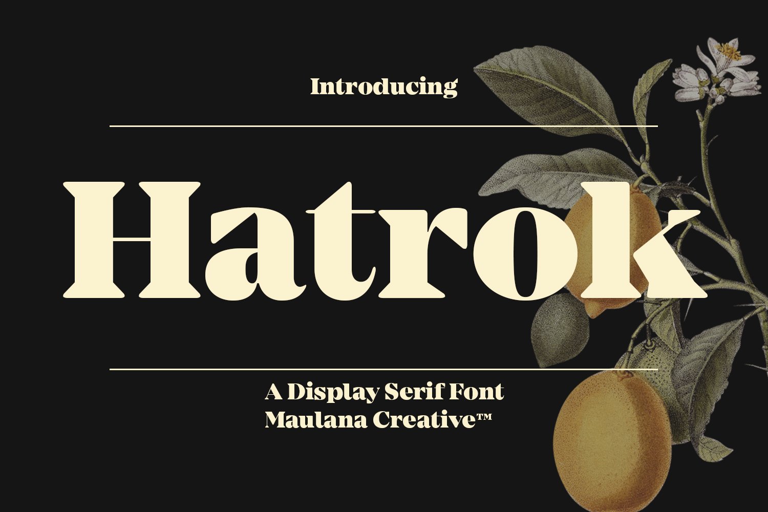 Hatrok Display Luxury Serif Font cover image.