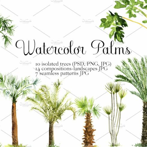 Watercolor Palms cover image.