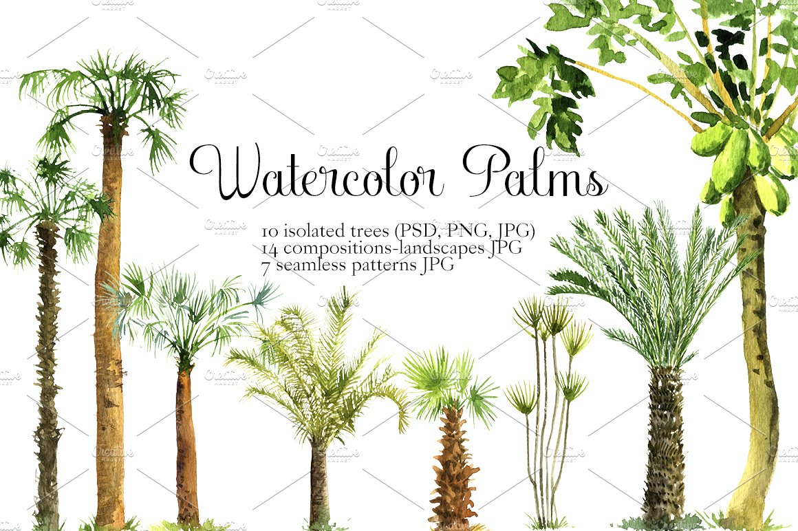 Watercolor Palms cover image.