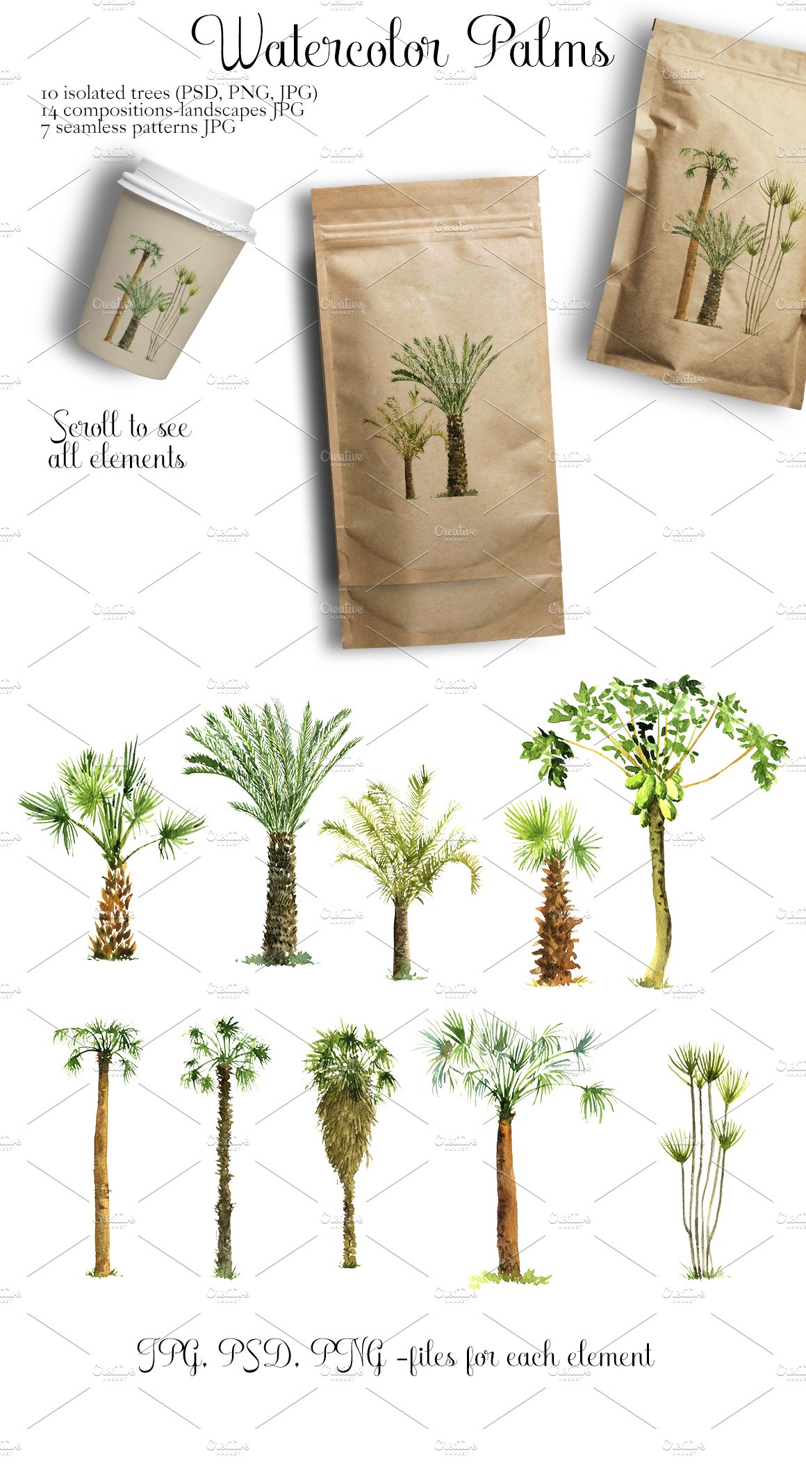 Bunch of palm trees on a white background.