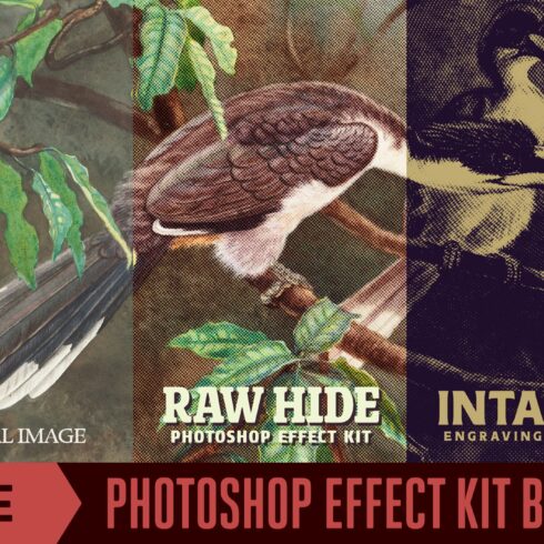 Photoshop Effect Kit Bundlecover image.