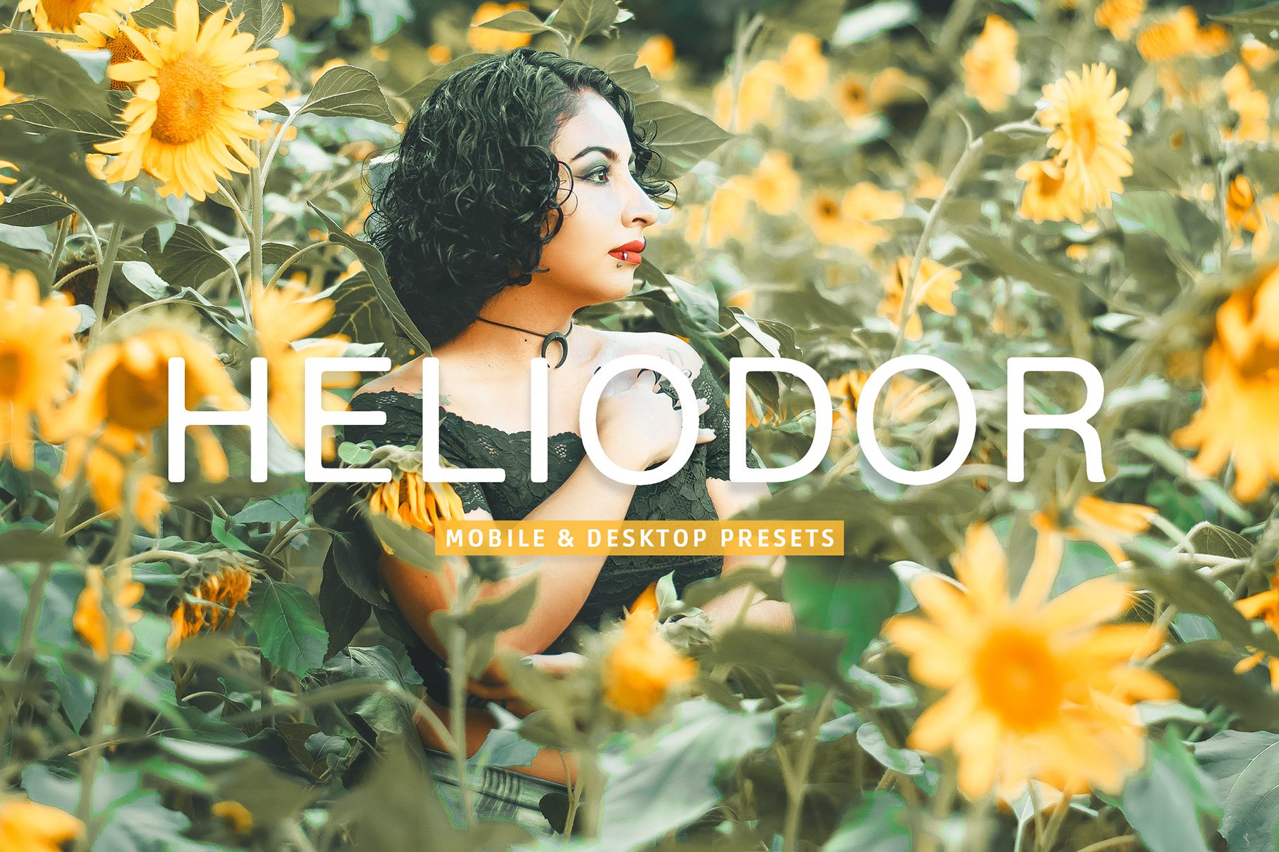 Heliodor Pro Lightroom Presetscover image.