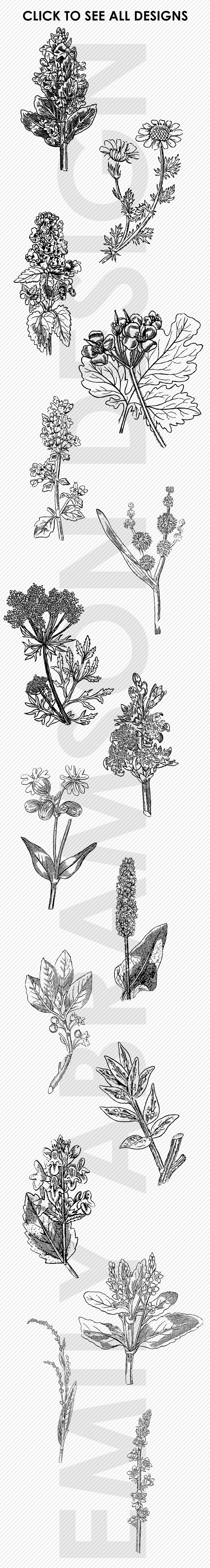 Herbal Photoshop Brushes and Stampspreview image.
