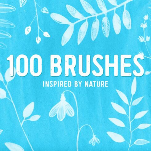 100 PS nature brushescover image.