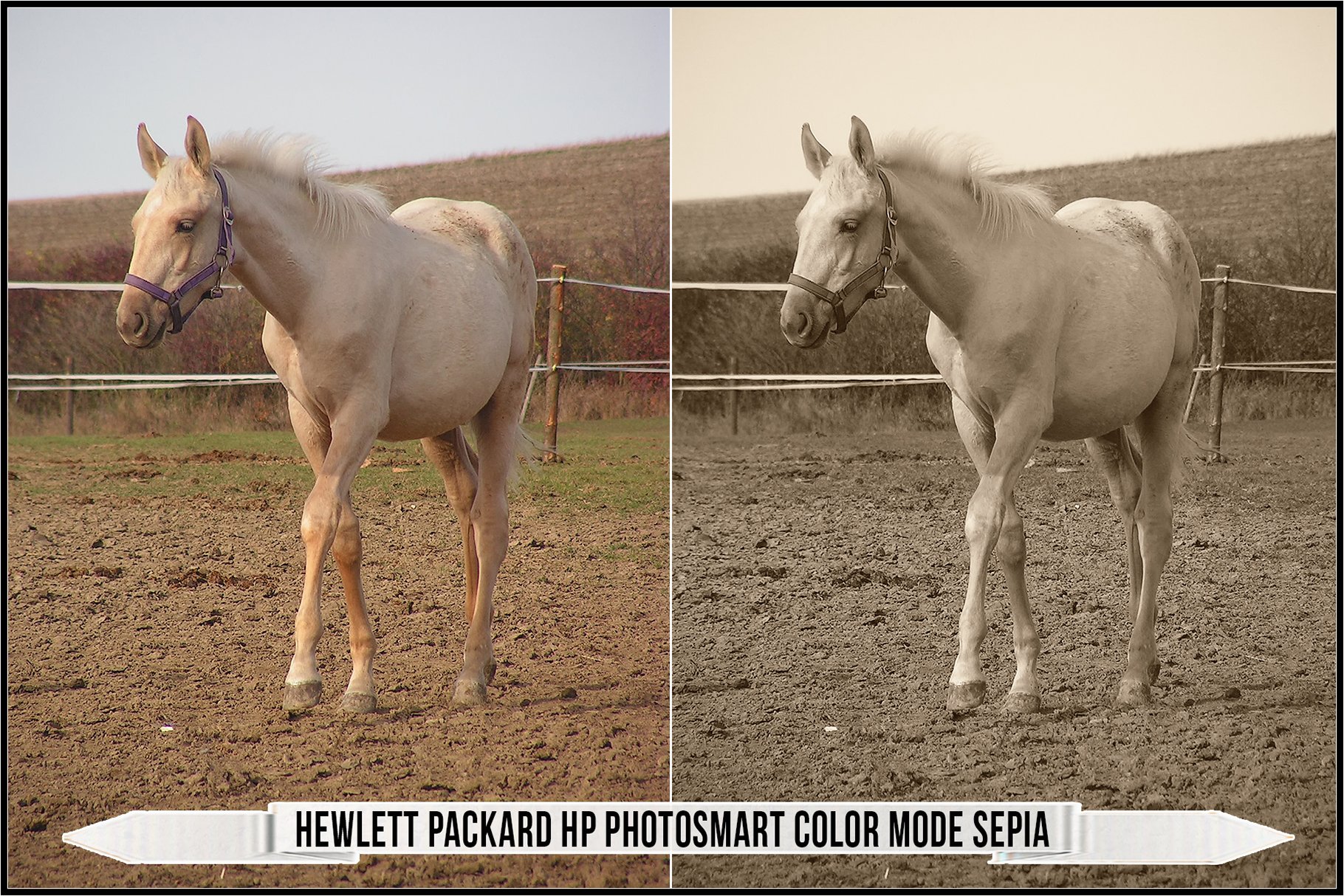 hewlett packard hp photosmart color mode sepia 995