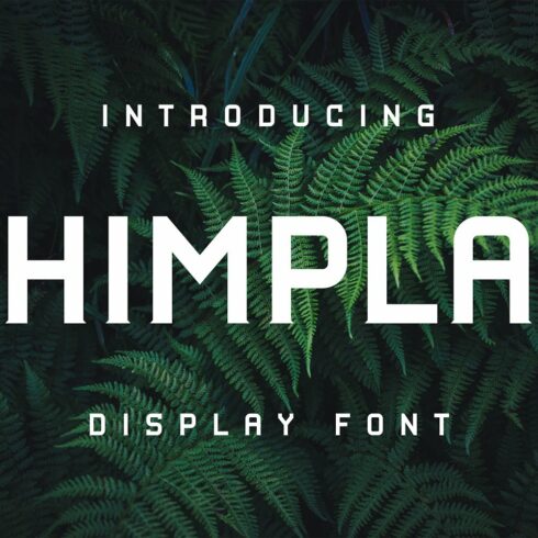 A green plant with the word himpla displayed on it.