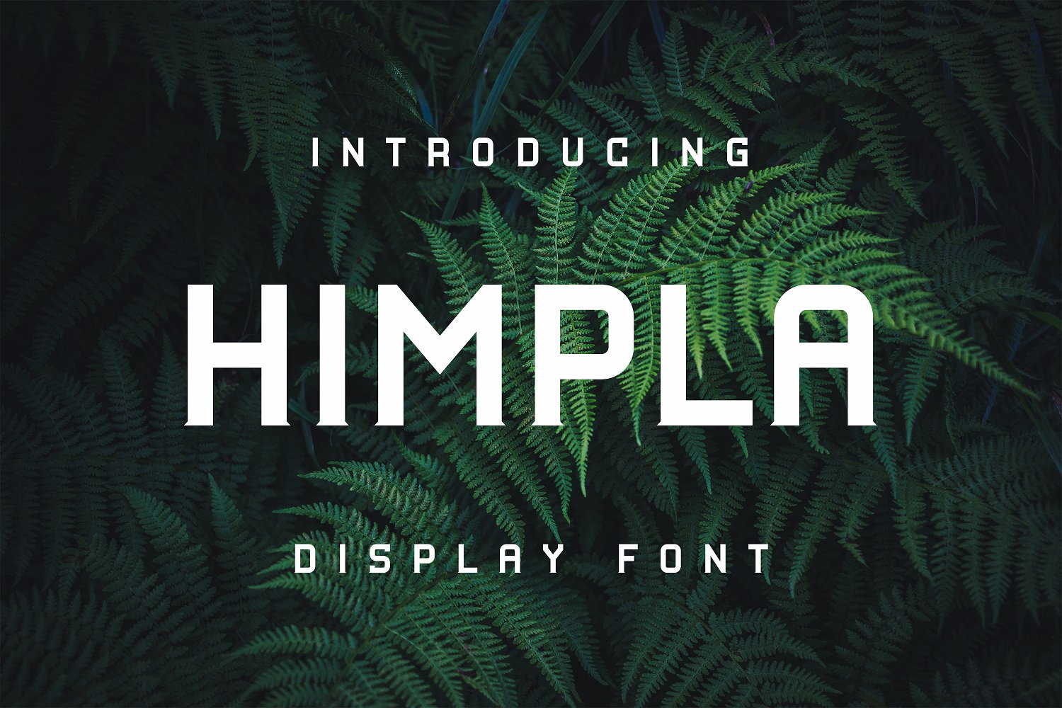 A green plant with the word himpla displayed on it.