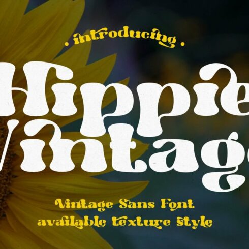 Hippie Vintage - Vintage Sans Fontcover image.