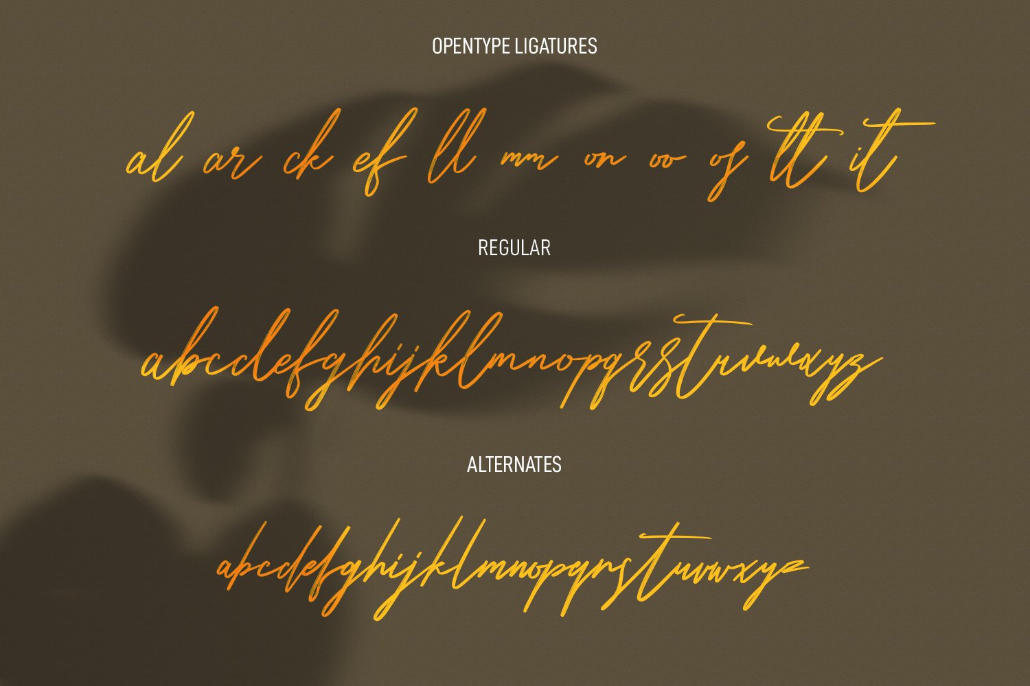 Hitshot Signature Script Brush Font preview image.