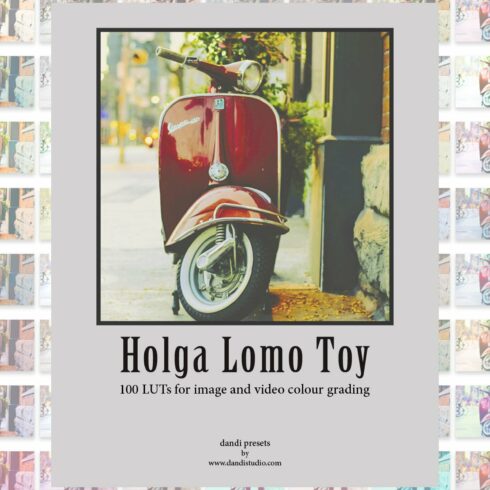 Holga Lomo Toy LUTs Adobe(1998)cover image.