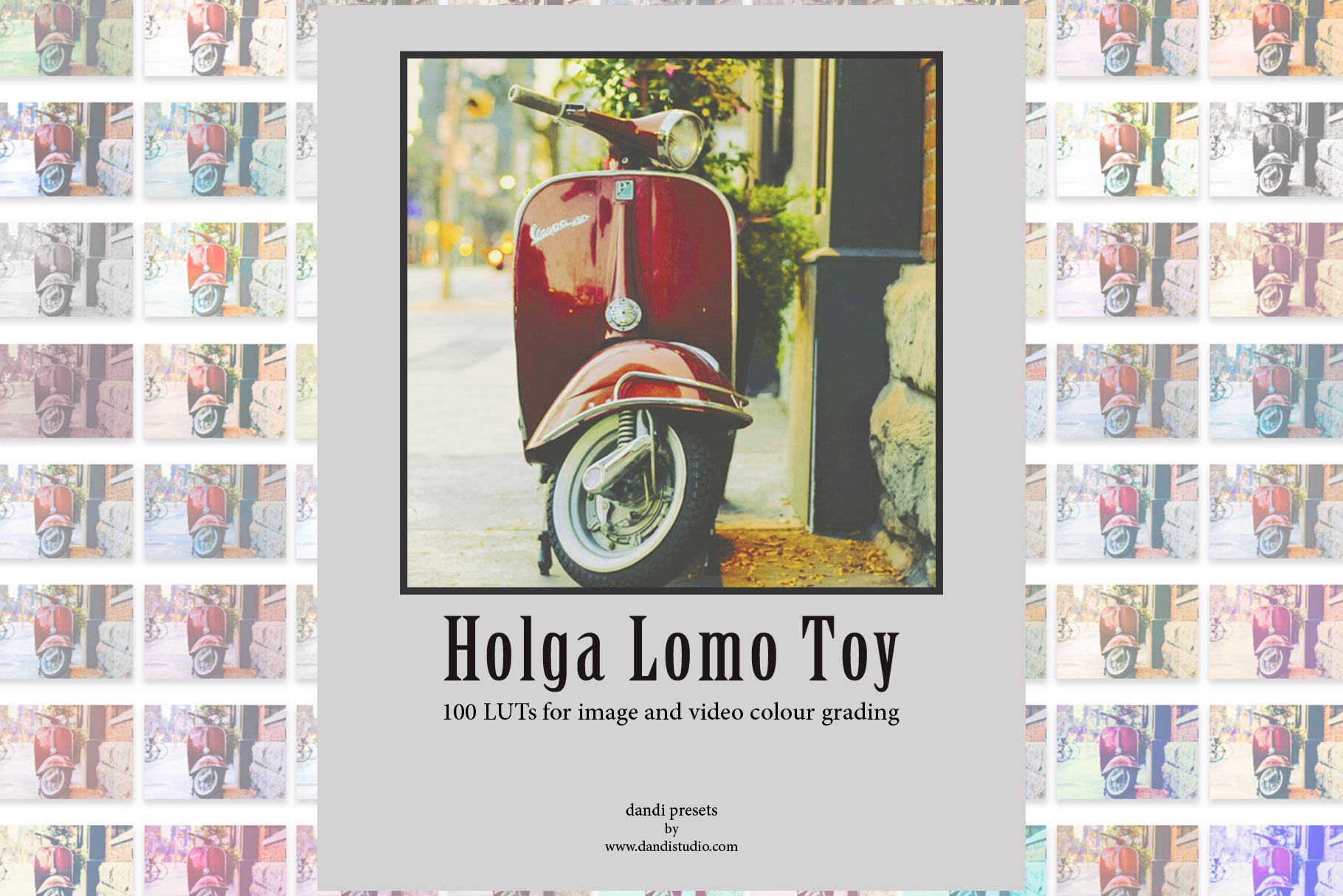 Holga Lomo Toy LUTs Adobe(1998)cover image.