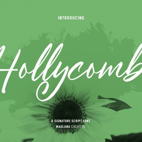 Hollycombs Script Font cover image.