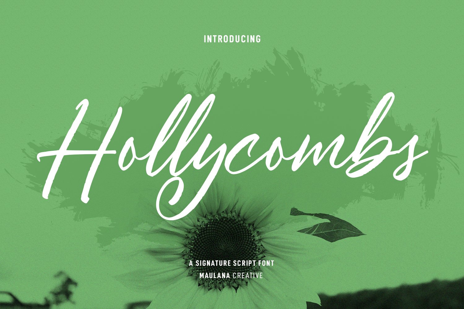 Hollycombs Script Font cover image.