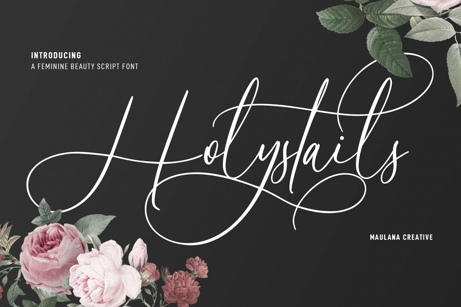 Holystails Beauty Script Font cover image.