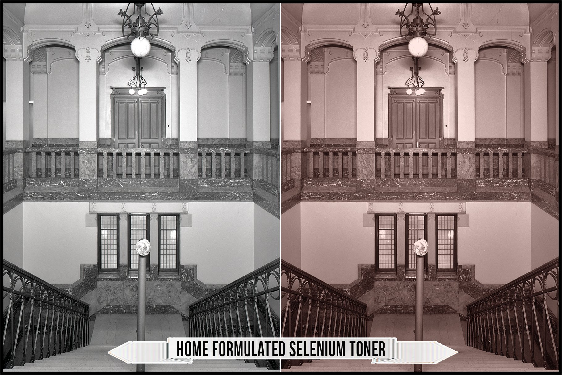 home formulated selenium toner 318