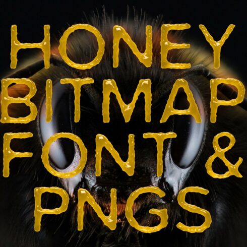 Ms Honey Bitmap Font & PNGs cover image.