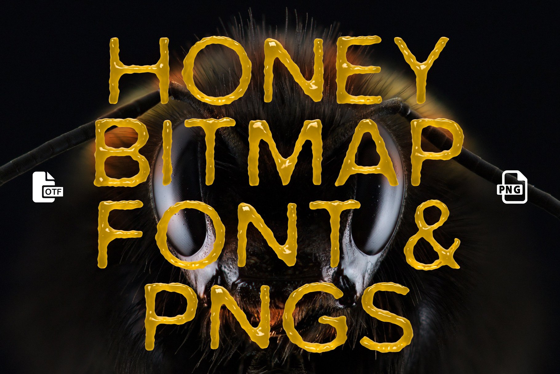 Ms Honey Bitmap Font & PNGs cover image.