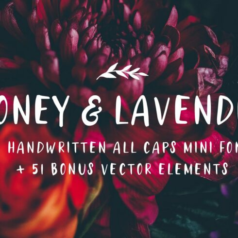 Honey & Lavender Cute Font + Extras cover image.