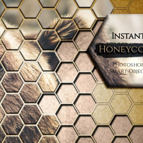 Instant Honeycombcover image.