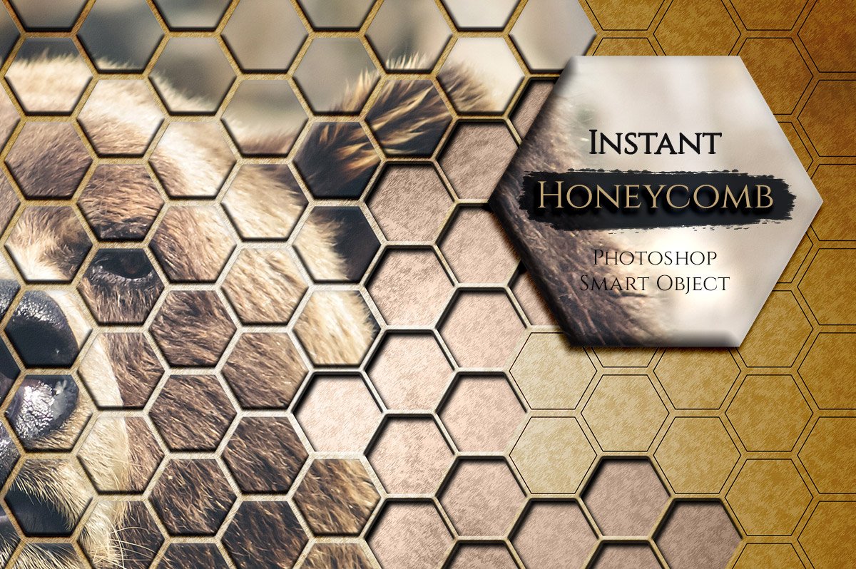 Instant Honeycombcover image.