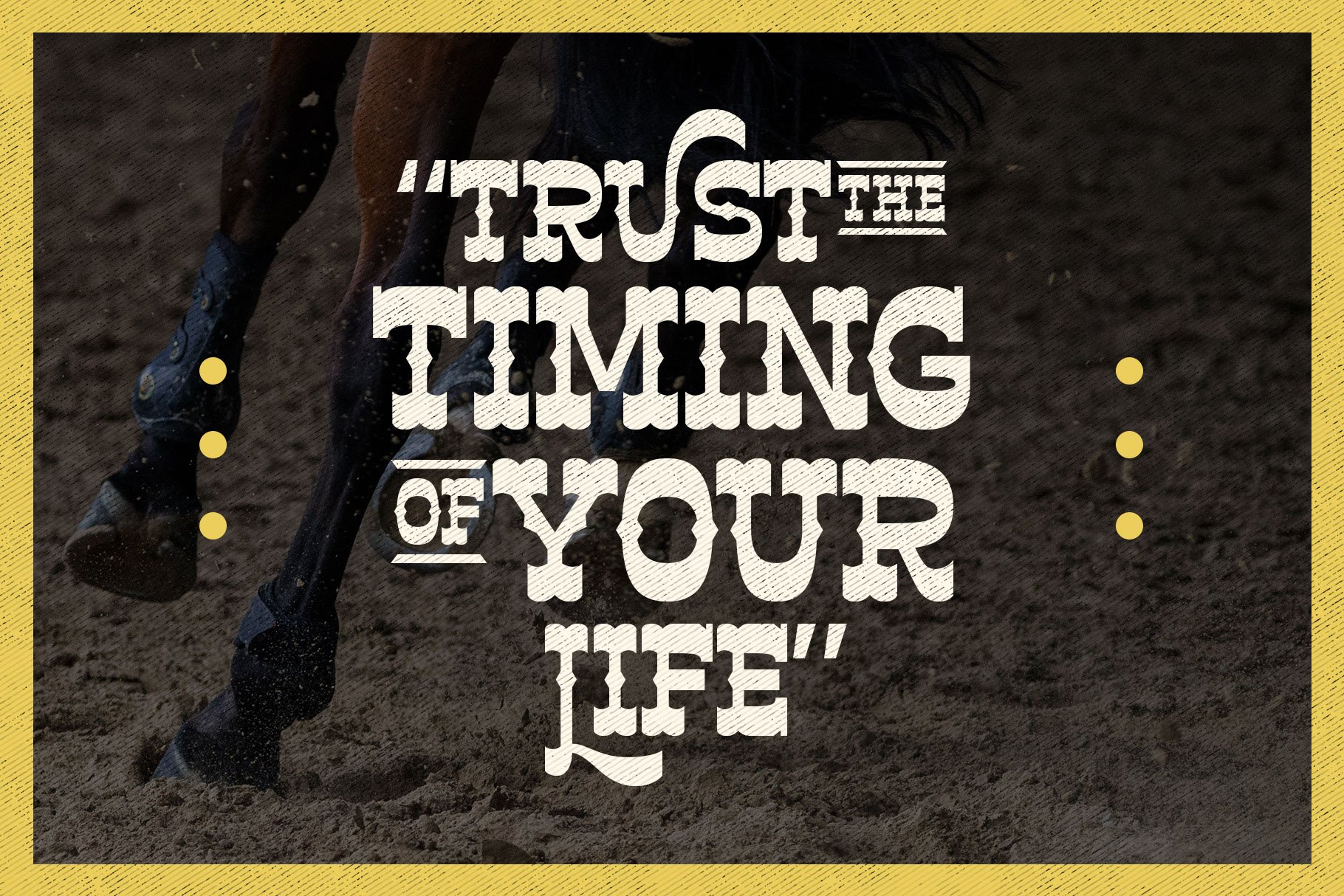 A picture of a horse with the words trust the time of your life.