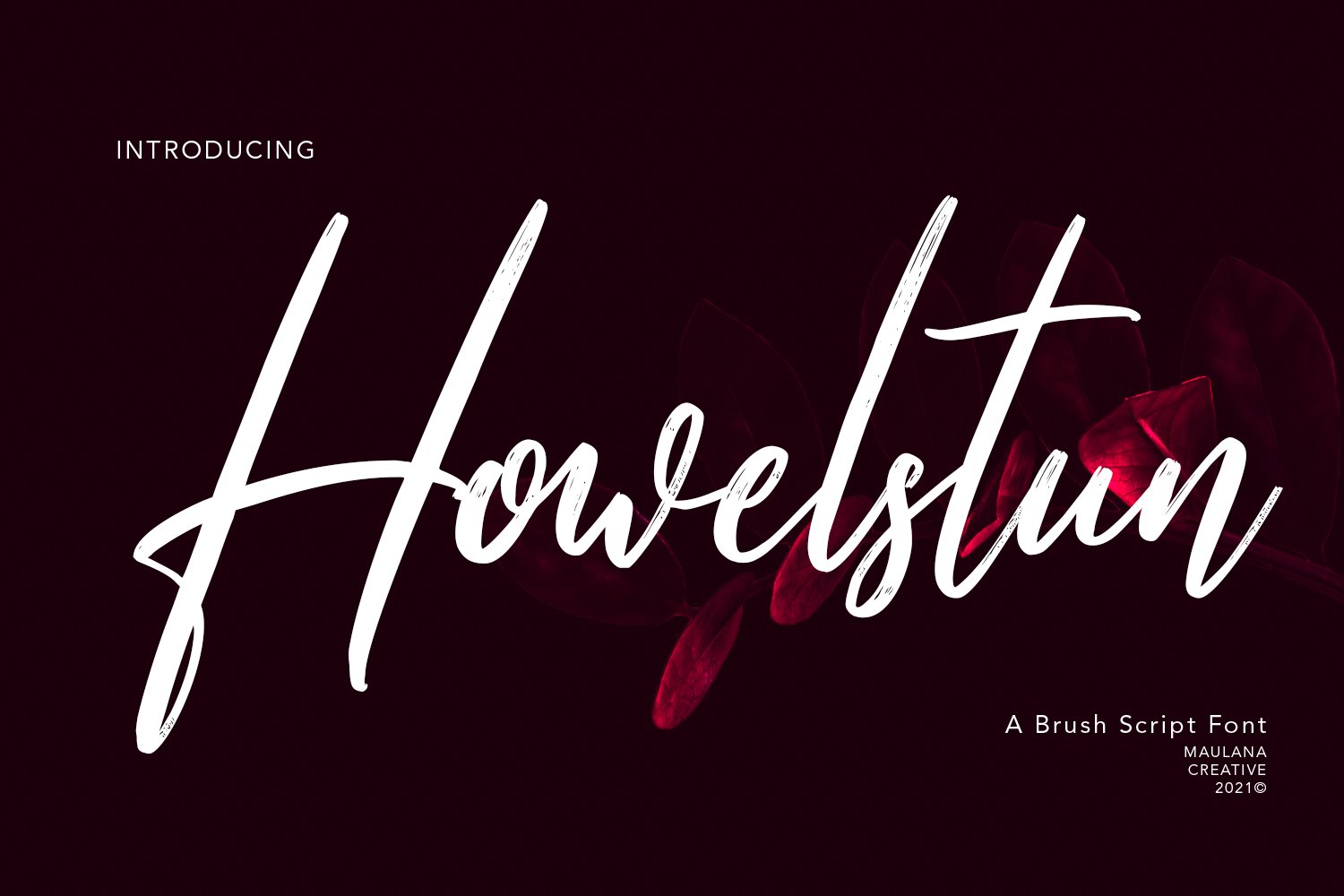 Howelstun Brush Script Font cover image.