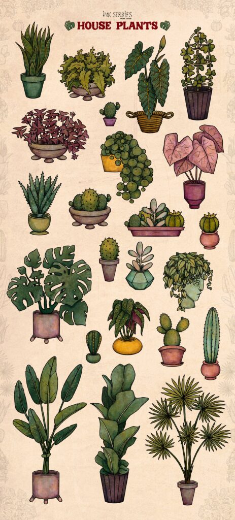 House Plants – MasterBundles
