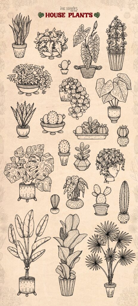 House Plants – MasterBundles