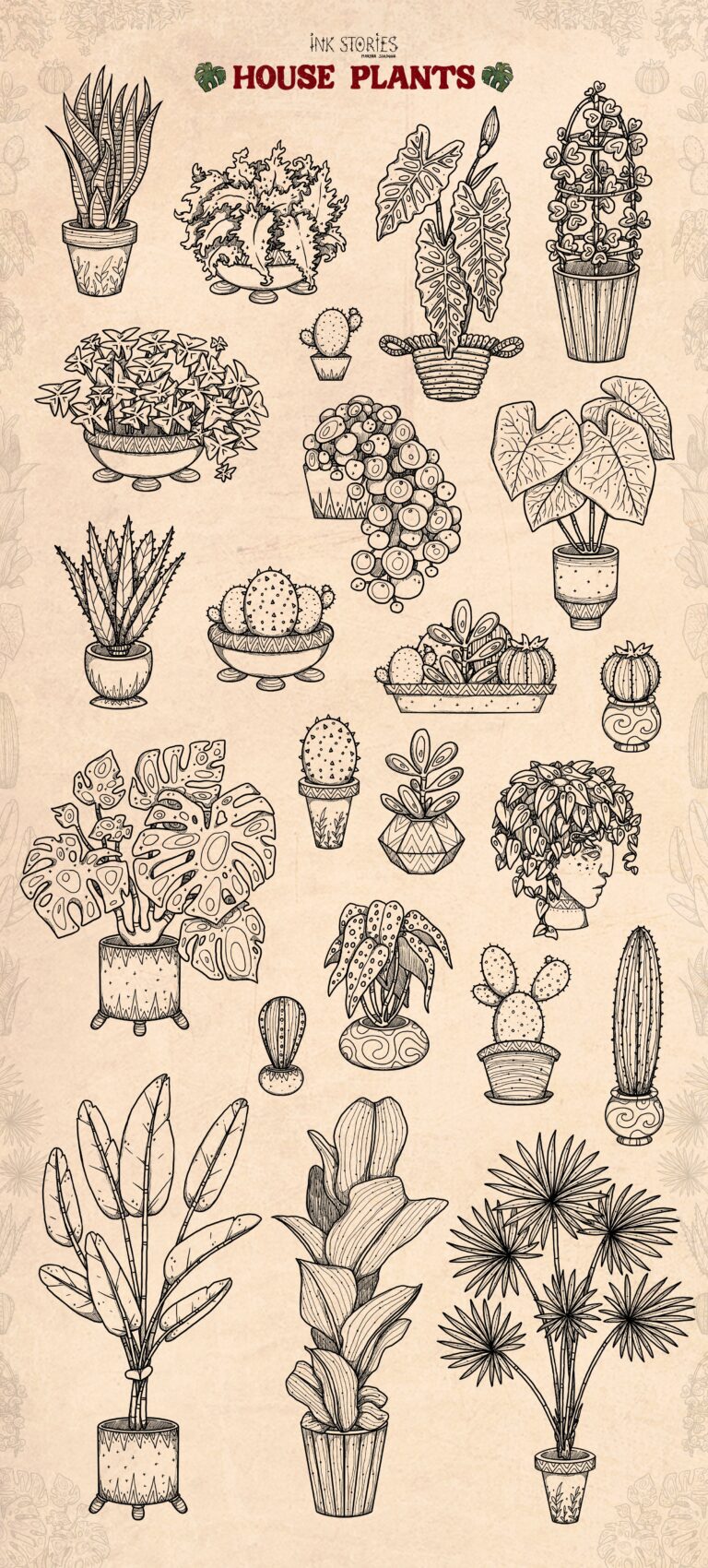 House Plants – MasterBundles