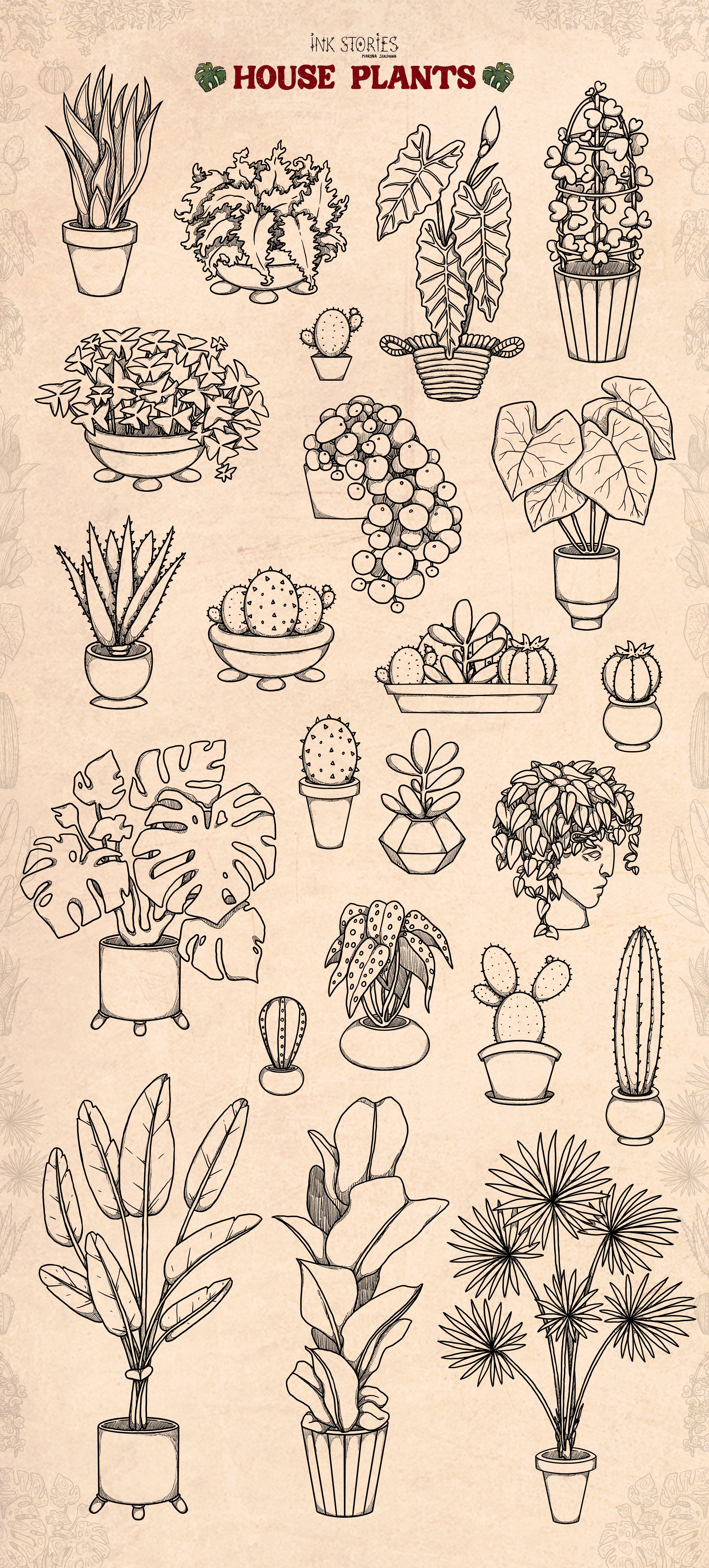 Drawing of a bunch of house plants.