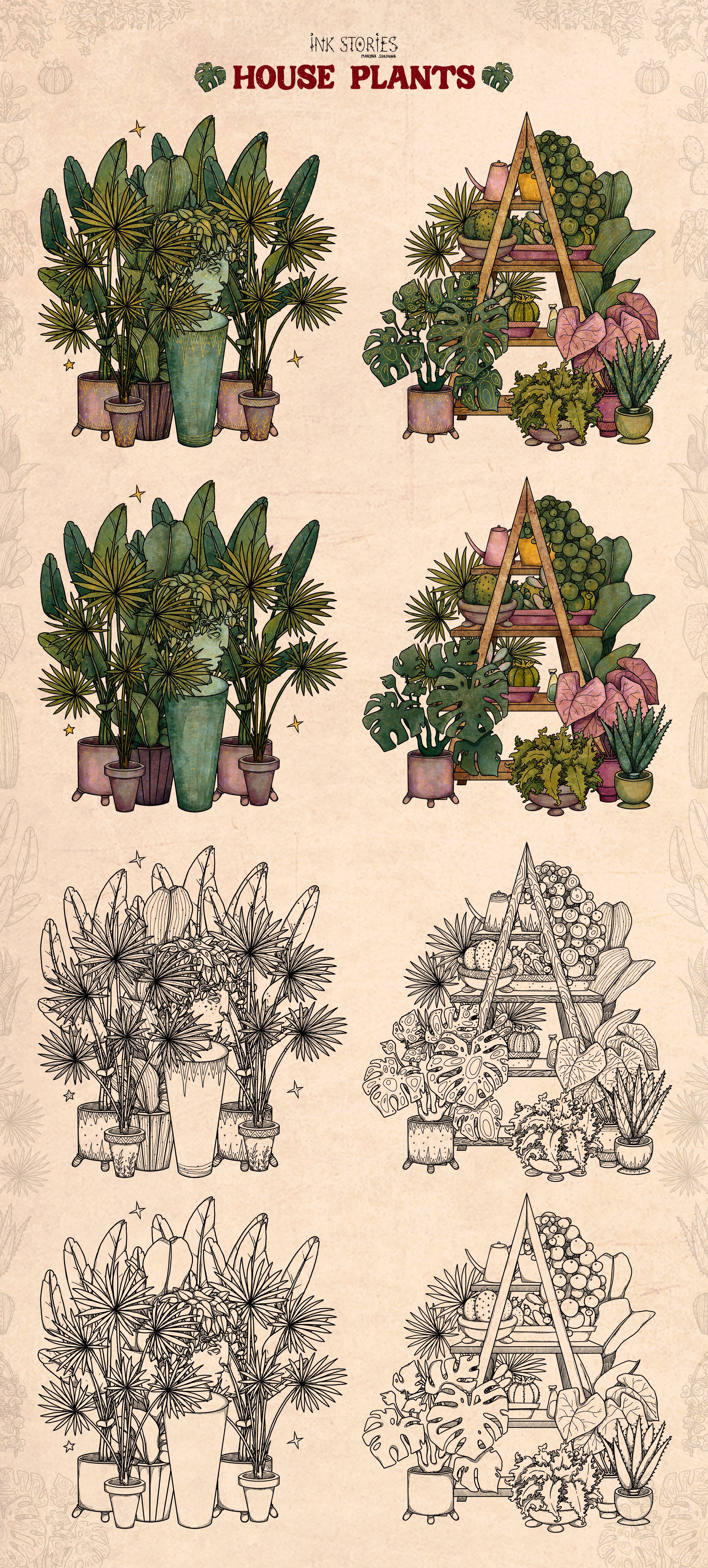 Drawing of a variety of house plants.