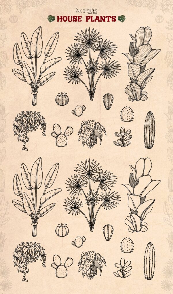 House Plants – MasterBundles